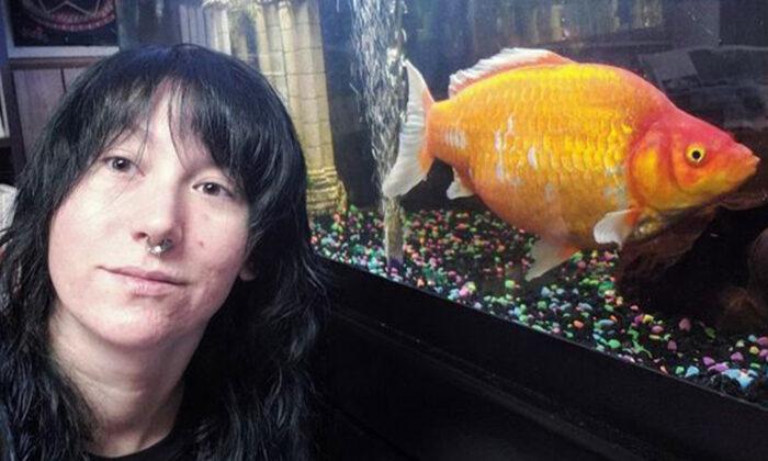 Woman Shocked When Her Small Goldfish Grows Into a Foot-Long Cannibal 'Monster'