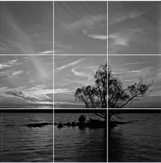 A grid superimposed on the photo of the tree in the river, clearly shows how the tree sits on intersecting lines. (Moondigger CC-BY-SA-2.5)