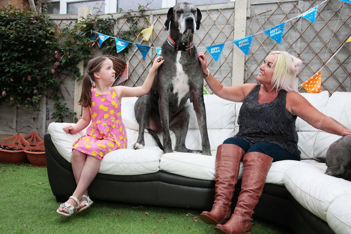 Great Dane Freddy with his owner, Claire Stoneman, and neighbor, Erin Manley. (Caters News)