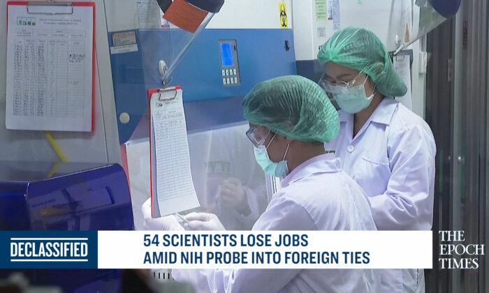 Scientists Lose Jobs Amid Probe Into Foreign Ties
