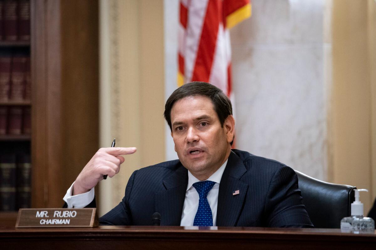 Senate Small Business and Entrepreneurship Committee Chairman Marco Rubio (R-Fla.) during a committee hearing in Washington on June 10, 2020. (Al Drago/Pool/Getty Images)