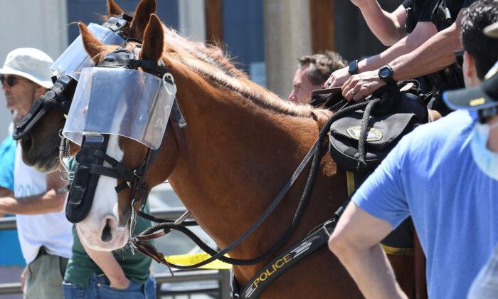 Ohio Animal Hospital Offers to Treat Police Horses Injured During Protests Free of Charge