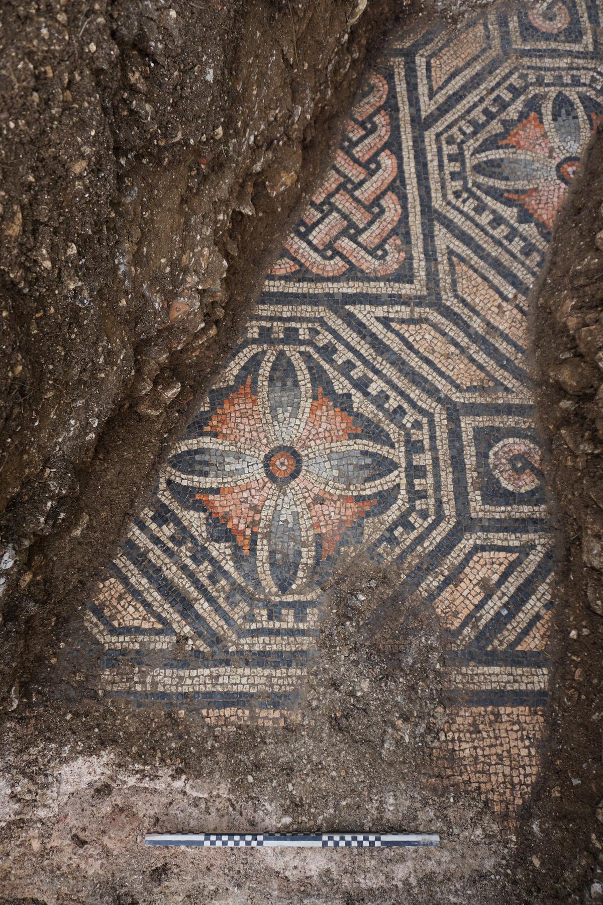 Detail of a Roman mosaic at a dig site in Negrar di Valpolicella (Courtesy of <a href="http://www.comunenegrar.it">SABAP-VR</a>)