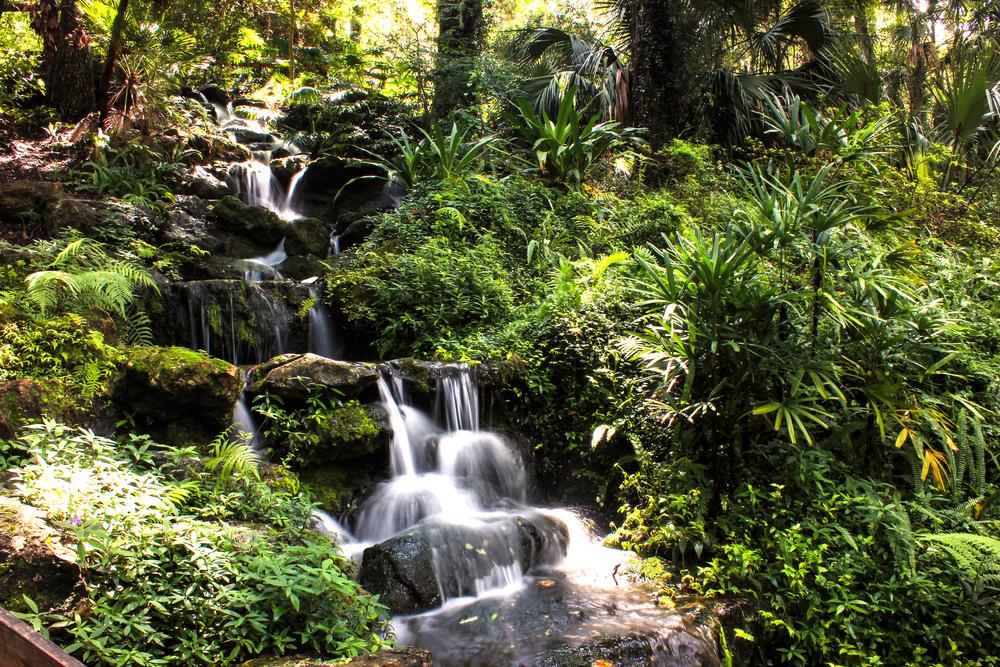 Waterfall in Rainbow Springs State Park in Dunnellon. (Shutterstock)
