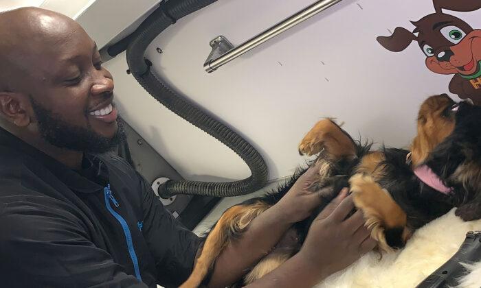 The ‘Dogfather of Harlem’ Offers Free Grooming Services to Pet Owners Impacted by the Pandemic