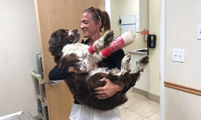 Woman Who Carried 55lb Hurt Dog Down a Mountain for 6 Hours Cannot Let Go