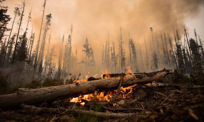 University of B.C. Study Warns Wildfire Smoke Could Make COVID-19 Symptoms Worse