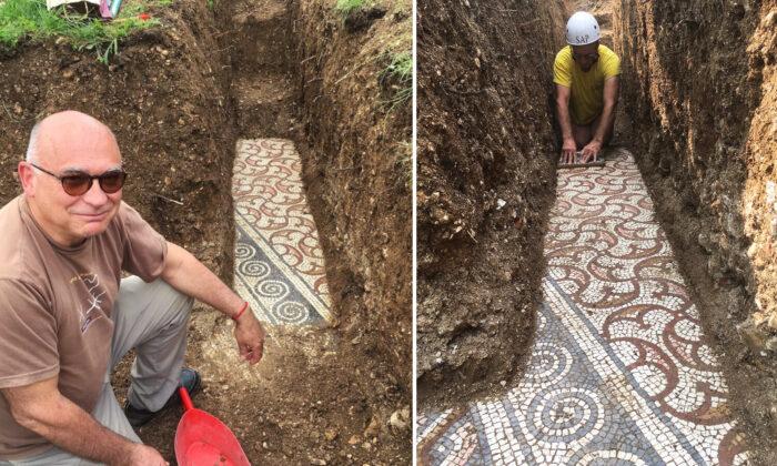 Archeologists Unearth Near-Pristine Roman Mosaic in Verona Dating Back to 3rd Century AD