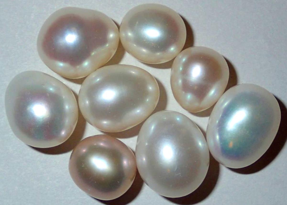 Cultured white and pink pearls from pearl oysters (<a href="https://commons.wikimedia.org/wiki/File:White_%26_pink_pearls_(cultured)_(31301996872).jpg">James St. John</a>/CC BY 2.0)