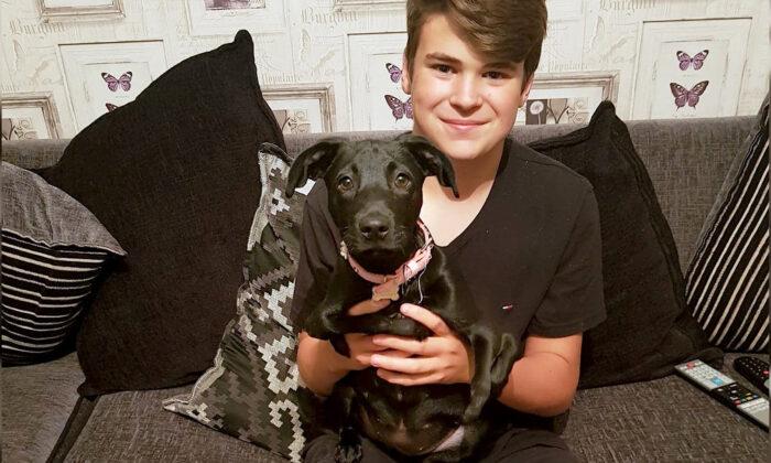 Six-Legged Dog Finds Forever Home With a Bullied Teen: ‘Love at First Sight’