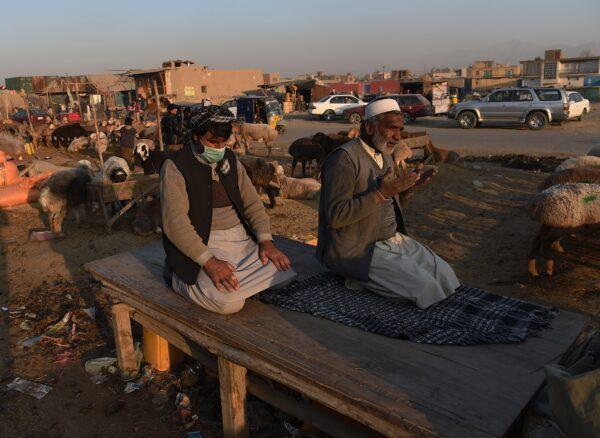 Afghan traders pray at a livestock market in a file photo taken on Nov. 23, 2014 in Kabul, Afghanistan. (Shah Marai/AFP via Getty Images)