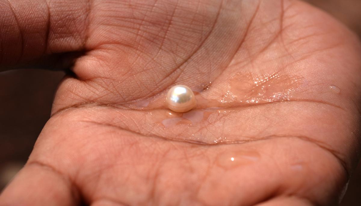 Diner Shocked to Find Real Pearl Inside Steamed Clam at Seafood Restaurant in New Hampshire