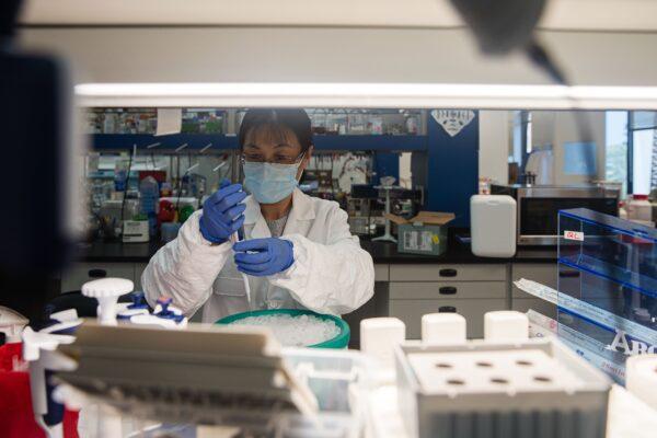 A senior scientist working in a lab that is focused on fighting COVID-19 at Sorrento Therapeutics in San Diego, California on May 22, 2020. (Ariana Drehsler/ AFP via Getty Images)