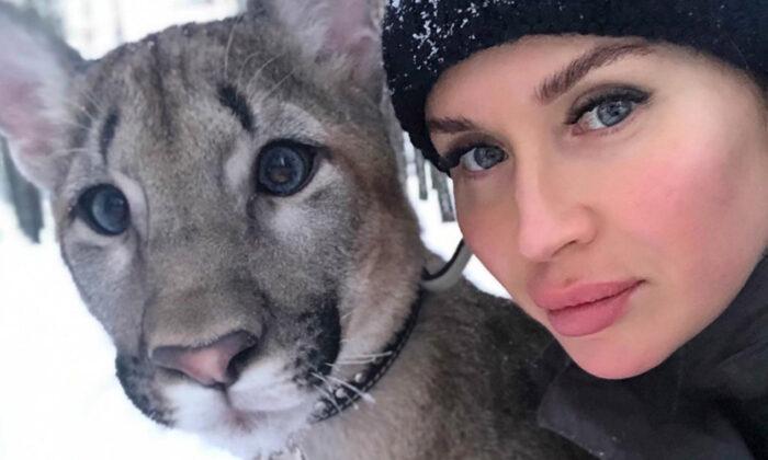 Russian Woman Keeps a Huge Puma as a Pet Along With Her Tiny Dog