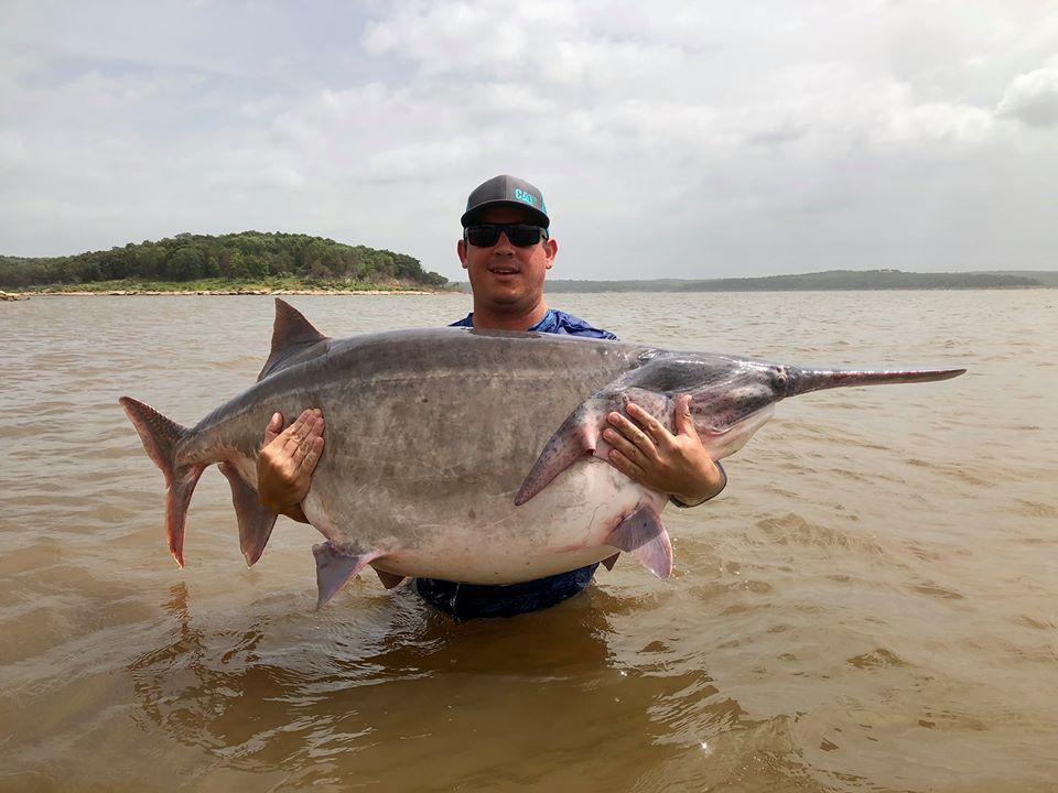 James Lukehart from Oklahoma with the record-breaking paddlefish. (Courtesy of <a href="https://www.wildlifedepartment.com/">Jason Schooley/ODWC</a>)