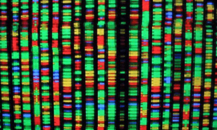 Mutated Transcription Factor Defies Current Understandings of Genetic Mutation