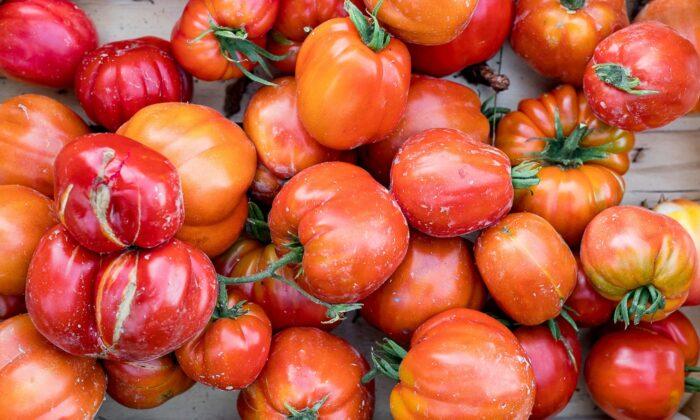 How to Make an Italian Tomato Sauce, Three Ways