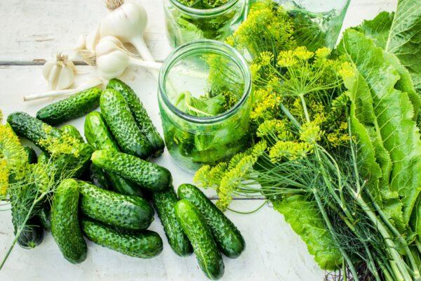 Pickle preparations. (Tatevosian Yana/Shutterstock)
