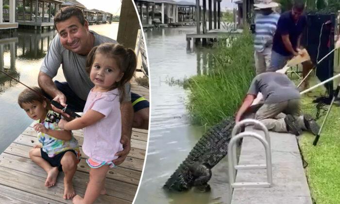 Dad Saves 4-Year-Old From 11-Foot Alligator in Creek Near Family Home, and Sees Reptile Relocated