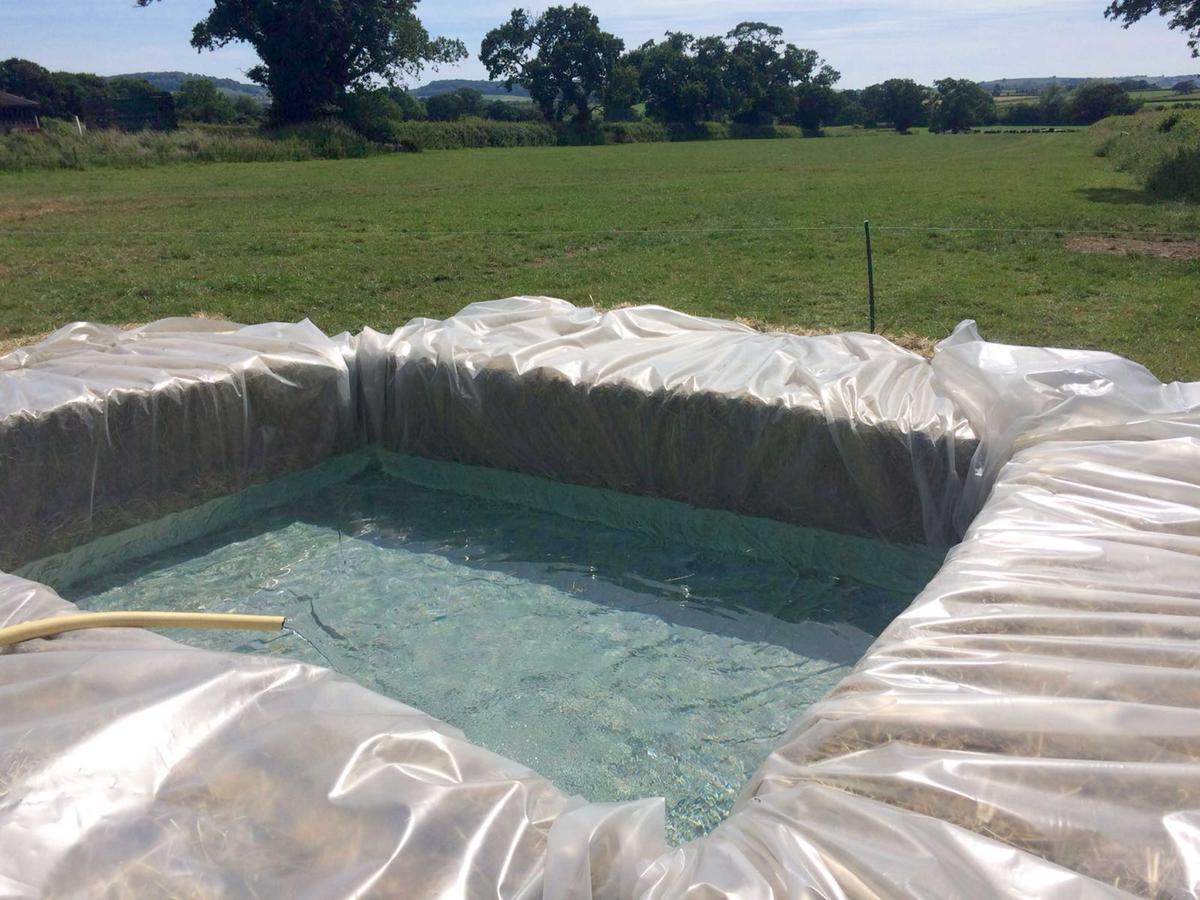 Filling up the hay bale pool (Caters News)