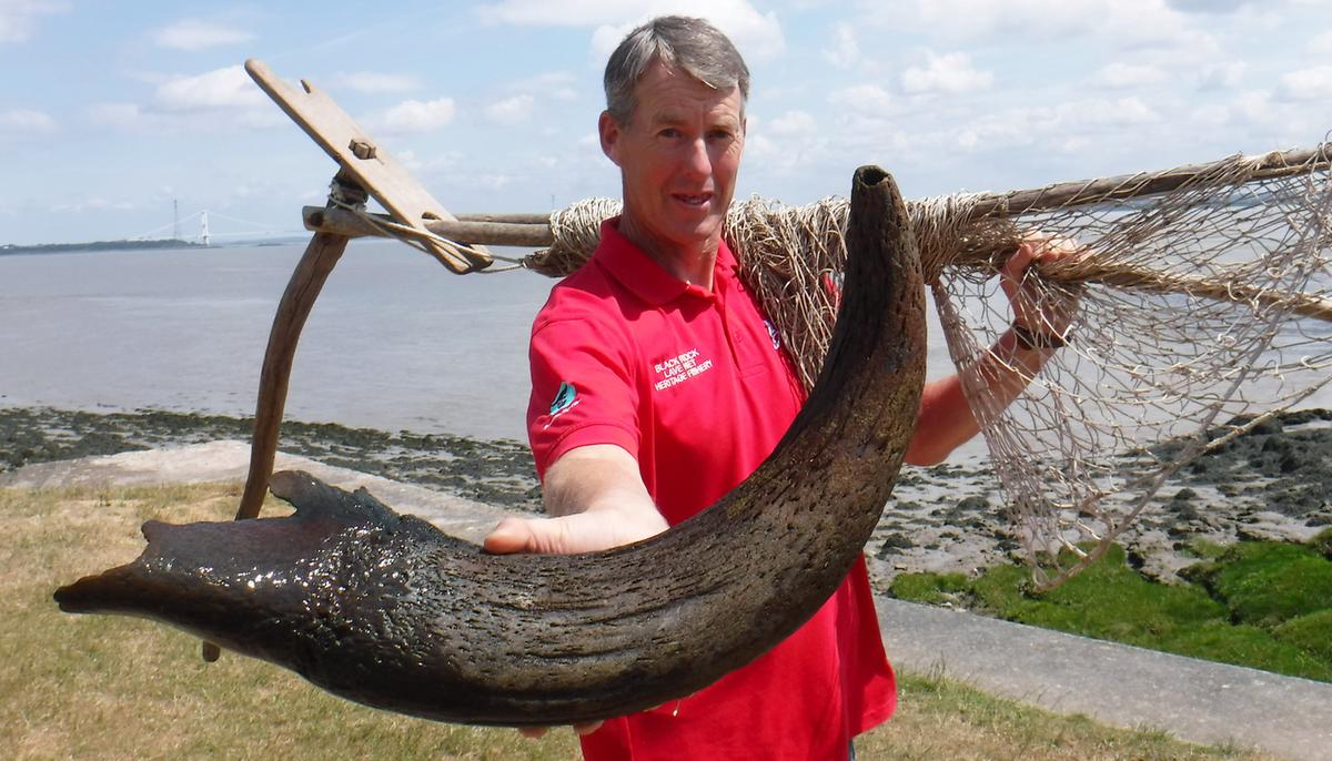 Fishermen Find Giant 27-Inch Bison Horn in Sand Bank, Believed to Be From Bronze Age