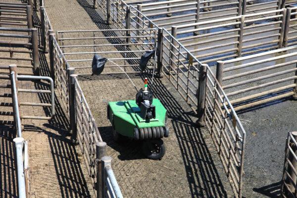 Cargill's robotic cattle driver (Courtesy of Cargill Inc.)