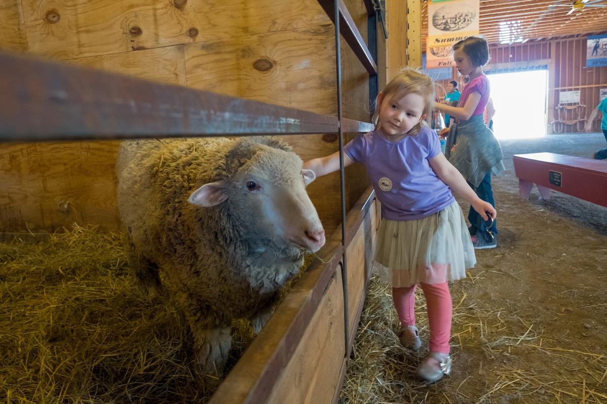 Kids will enjoy visiting the animals at the Mahaffie Stagecoach Stop & Farm. (Courtesy of Kansas Tourism)
