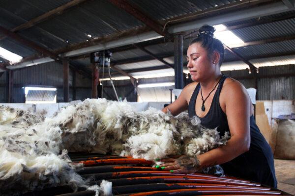 Wool classer Monique Sullivan sorts wool as the team shear at Meadowlea Sheep Station in Kangaroo Island, Australia on Feb. 25, 2020. (Lisa Maree Williams/Getty Images)