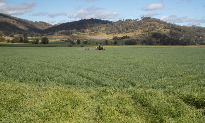 Australian Farmers Want Economic Recovery to Go Rural