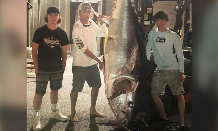 Teen Fishermen Reel In 700-Pound Bluefin Tuna After 7-Hour Fight Off Coast of Maine