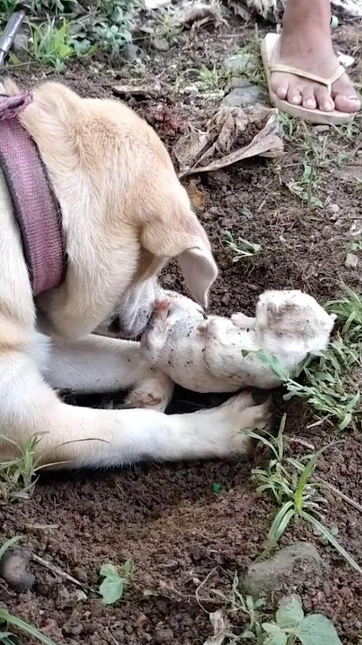 (Screenshot/Newsflare)