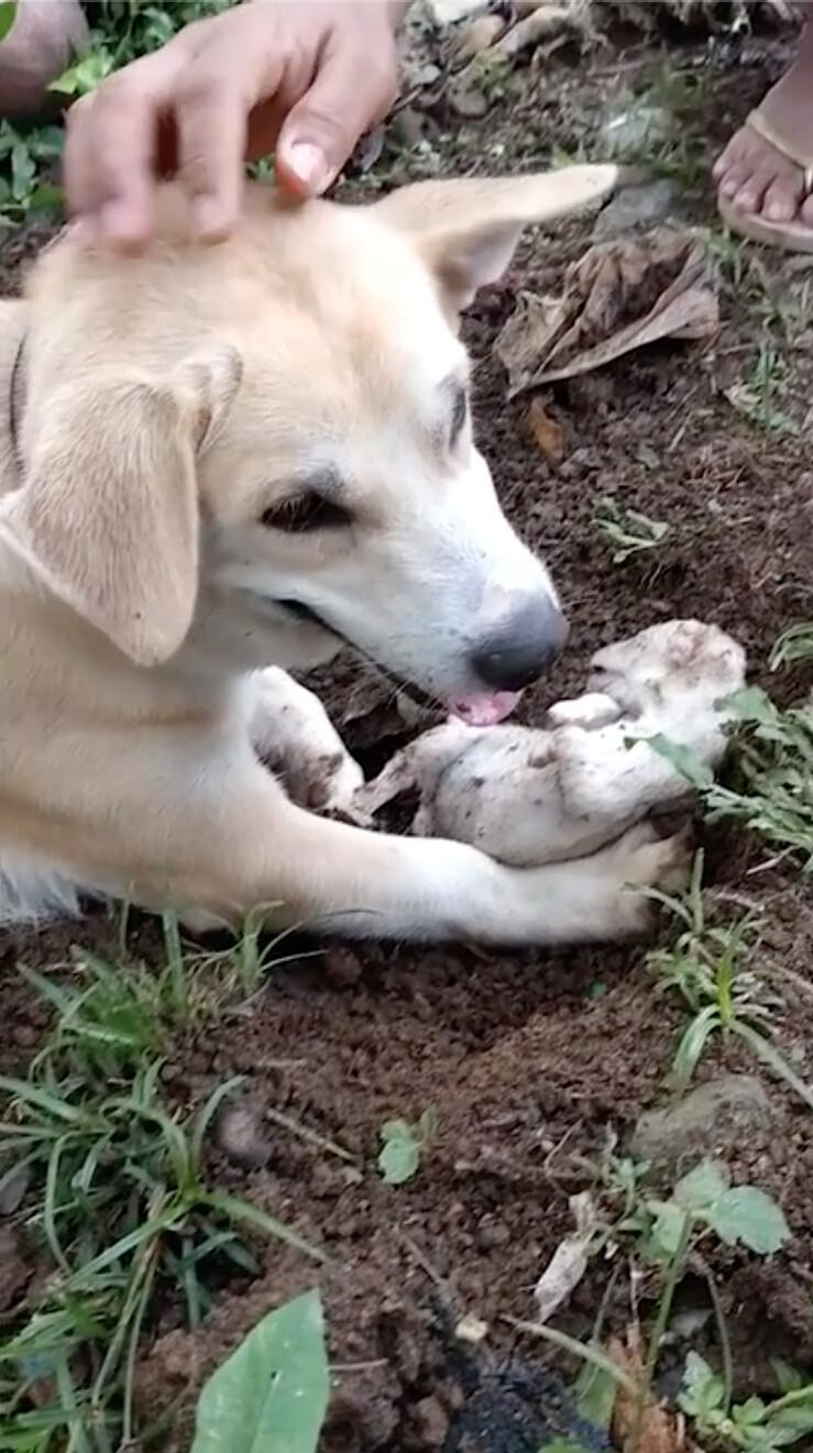 (Screenshot/Newsflare)