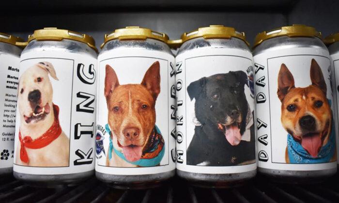 Owner Spots Long-Lost Dog on a Beer Can 3 Years After the Pup Went Missing