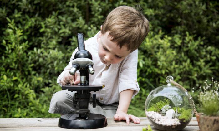 6 Everyday Ways to Raise Intellectually Curious Children