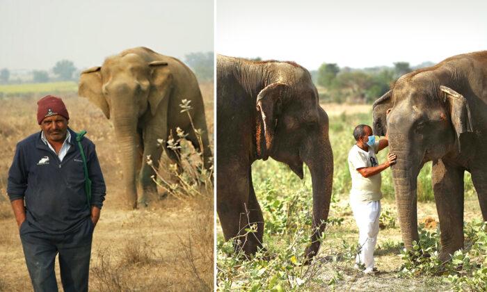 Dedicated Elephant Caregiver for 11 Years Shares He Cherishes Taking Care of These Animals