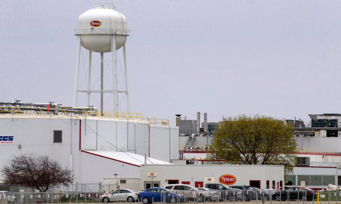 Outbreak at Iowa Pork Plant Was Larger Than State Reported