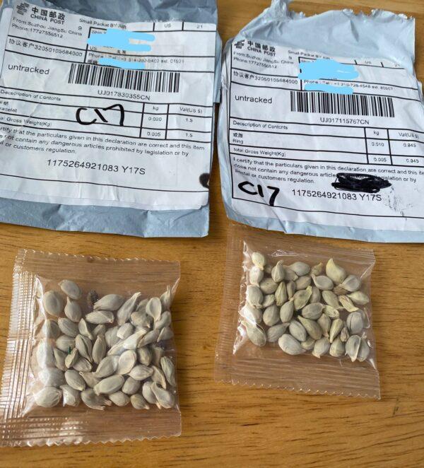Two packages containing unknown seeds from China. (Washington State Department of Agriculture)