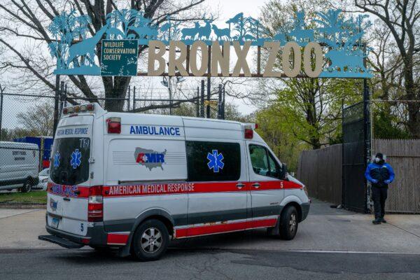 An ambulance arrives at a parking lot at the Bronx Zoo in New York City on April 23, 2020. Seven more big cats tested positive for the CCP virus (COVID-19) after a tiger tested positive earlier in the month. (David Dee Delgado/Getty Images)