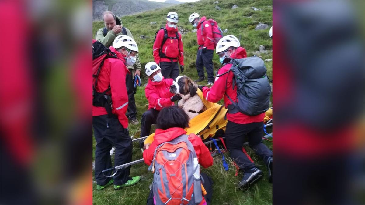 Rescuers put Daisy on a stretcher to safely bring her down Scafell Pike. (Courtesy of Wasdale Mountain Rescue)