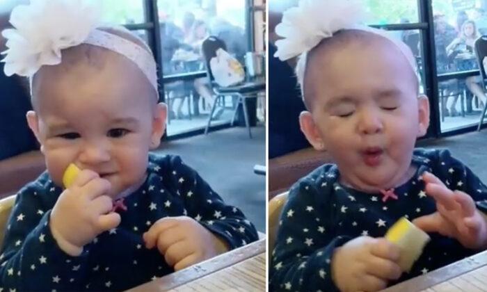 Baby Eats Lemon for First Time, Makes Hilarious Sour Face–and Keeps Going Back for More!