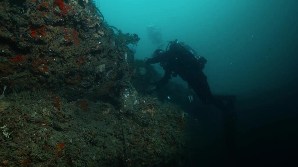 Divers explore the bottom of Amberjack Hole. (Courtesy of <a href="https://mote.org/">Curt Bowen</a>)