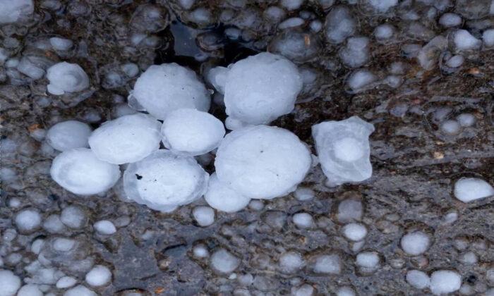 Hailstorm Slams Harbin City, Local Government Does Nothing to Help