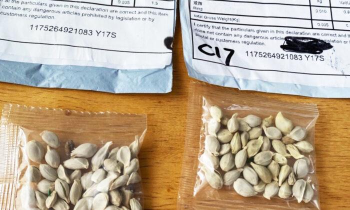 US Residents Receive Unsolicited Seed Packages From China