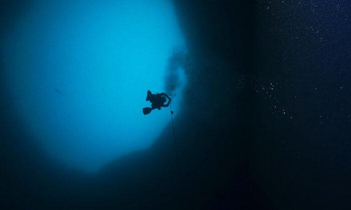 Scientists Dive to the Bottom of Mysterious ‘Blue Hole’ Off the Coast of Sarasota, Florida