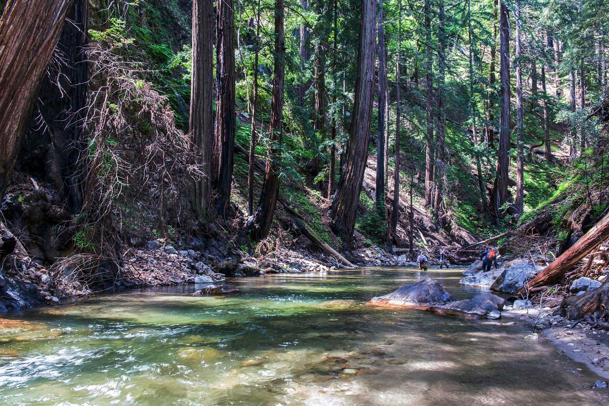 The Esselen Tribe of Monterey County closed escrow on 1,199 acres about 5 miles inland from the ocean that was part of a $4.5 million deal involving the state and the Western Rivers Conservancy. (Doug Steakley/Western Rivers Conservancy via AP)
