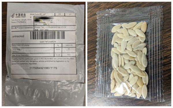 Package with seeds that appear to be from China. (Whitehouse Police Department Ohio)