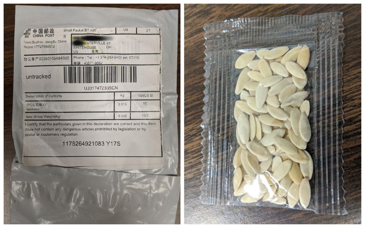 All 50 US States Warn About Unsolicited Seed Packages That Appear to Be From China
