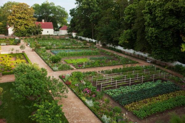 The Upper Garden. (Courtesy of George Washington’s Mount Vernon)