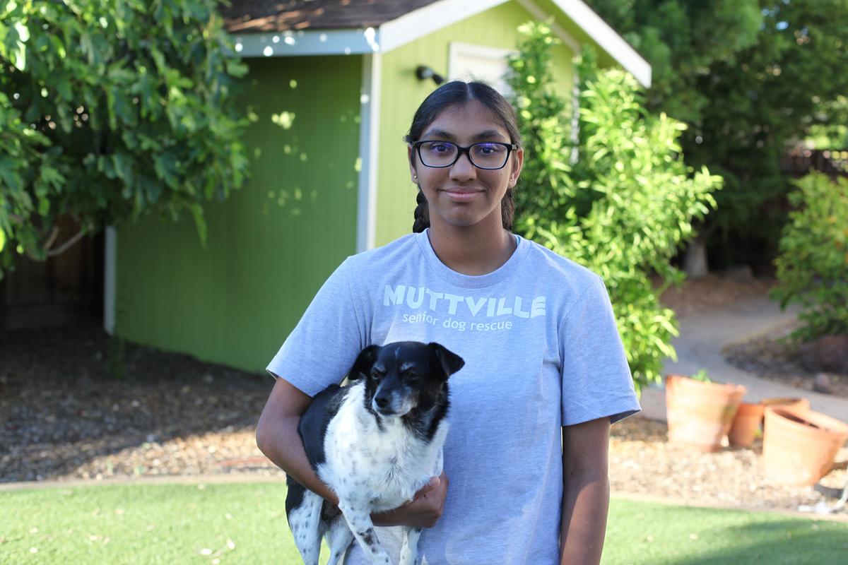Meena Kumar, 14, helps abandoned senior dogs get a second chance. (Courtesy of Jayashree Subrahmonia)