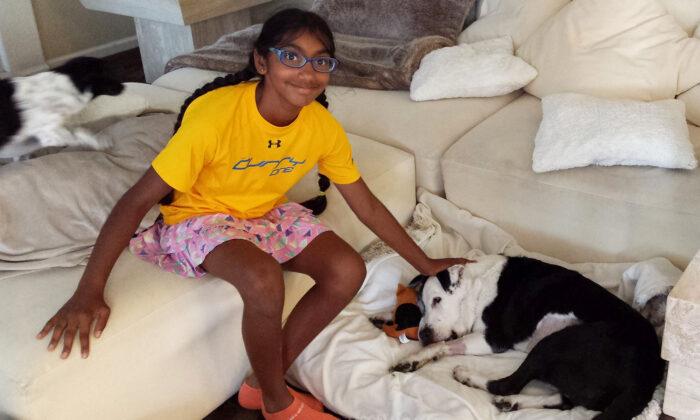 Adopted 14-Year-Old Girl Helps Senior Dogs Find a Forever Home Just Like She Did